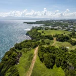 La nature Gosi&eacute;rienne 