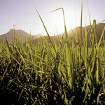 Journée Spiritourisme et Agrotourisme en Guadeloupe
