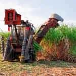 Montebello : H&eacute;ritage et Raffinement Rhumier