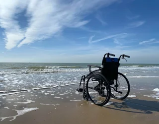 Accessibilit&eacute; & Handicap
