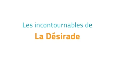 Les incontournables de La D&eacute;sirade