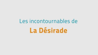 Les incontournables de La D&eacute;sirade