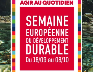 Des ateliers &agrave; l'occasion du d&eacute;veloppement durable 