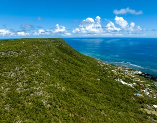 La nature D&eacute;siradienne