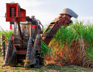 Montebello : H&eacute;ritage et Raffinement Rhumier