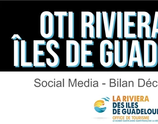 Bilan Social Media 2024