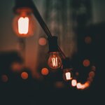 La vie nocturne