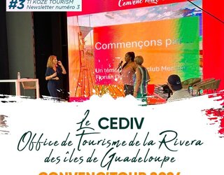 CEDIV 2024 