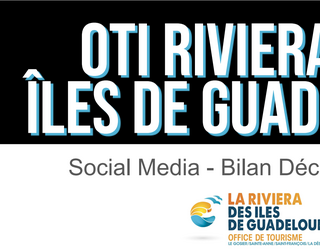 Bilan Social Media 2024