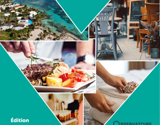 Monographie HCR 2023 & 2024 : Focus sur les îles de Guadeloupe