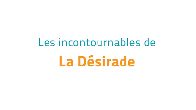 Les incontournables de La D&eacute;sirade