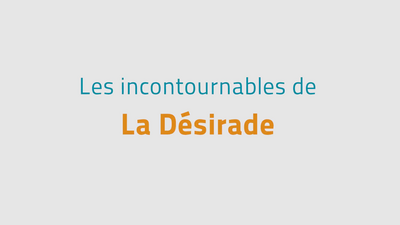 Les incontournables de La D&eacute;sirade